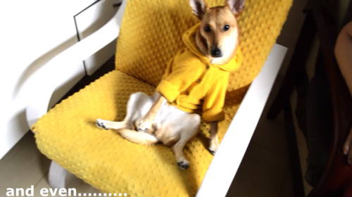 Screenshot 2025-11-26 120005