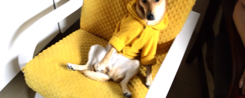 Screenshot 2025-11-26 120005